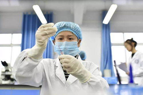 技能大赛循常规 检验学子展风采
