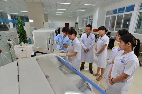 医学检验技术专业介绍