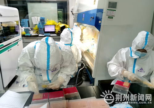 荆州市中心医院医学检验部质量管理彰显“省级标杆”力量